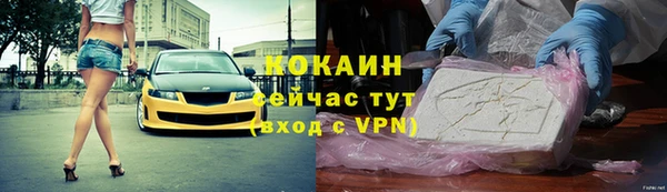 твердый Арсеньев