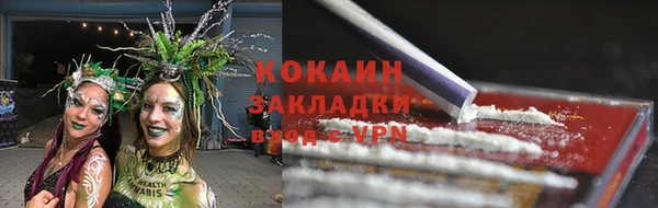 твердый Арсеньев