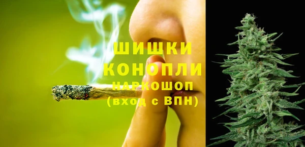 твердый Арсеньев