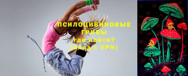 mdpv Армянск