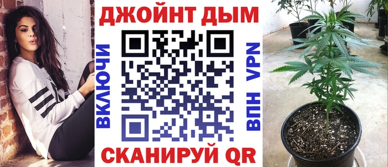 omg tor  Чаплыгин  Конопля ГИДРОПОН 